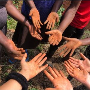 Healthcare outreach in a community